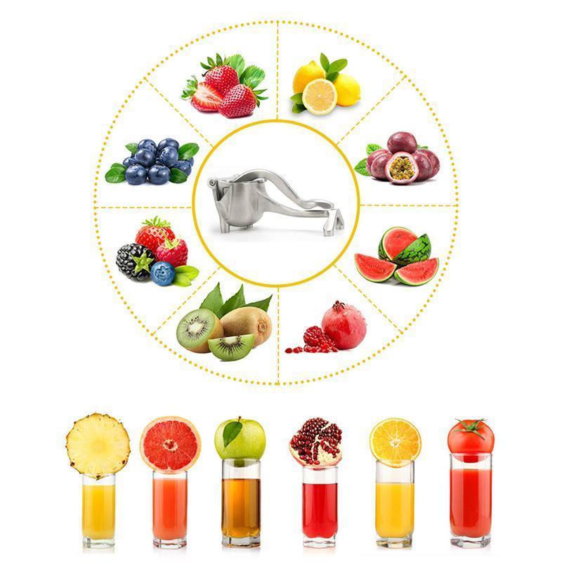 מסחטת מיץ פירות